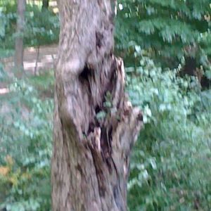 Meet your Posher, Brett